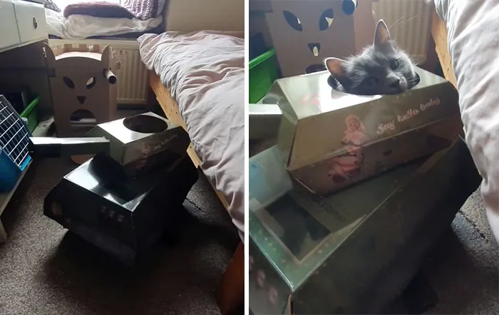 People Are So Bored During Quarantine That They’re Building Cardboard Tanks For Their Cats (30 Pics)