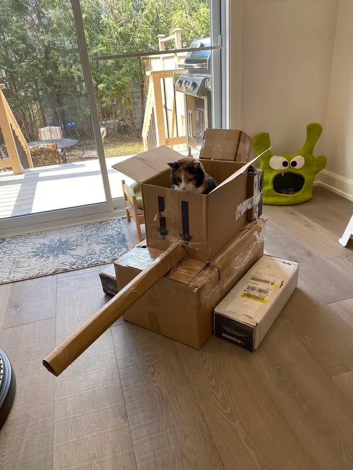 People Are So Bored During Quarantine That They’re Building Cardboard Tanks For Their Cats (30 Pics)