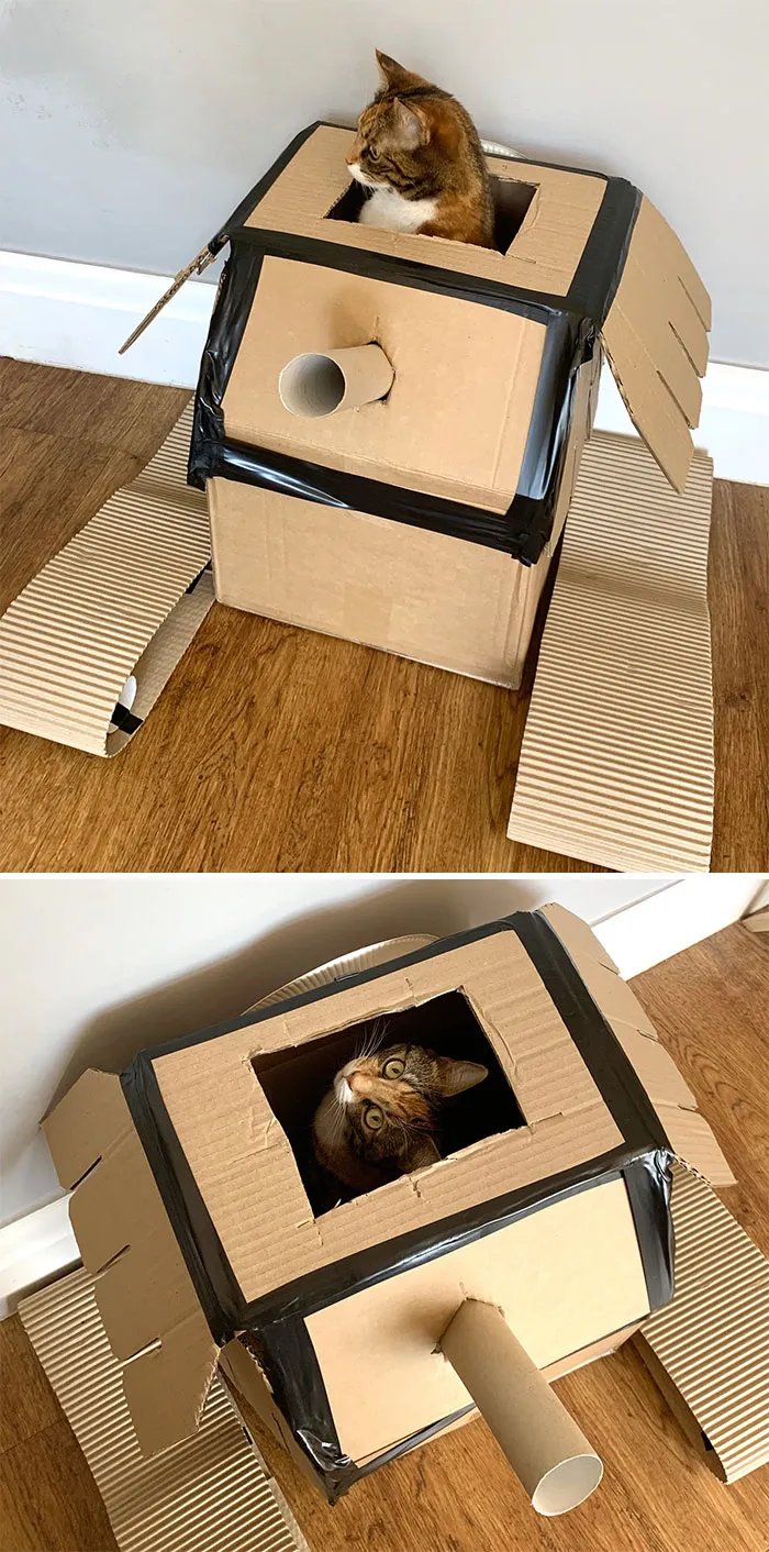 People Are So Bored During Quarantine That They’re Building Cardboard Tanks For Their Cats (30 Pics)