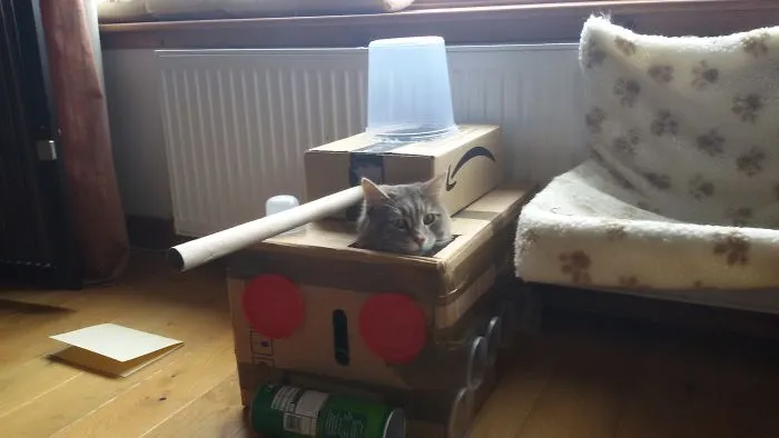 People Are So Bored During Quarantine That They’re Building Cardboard Tanks For Their Cats (30 Pics)
