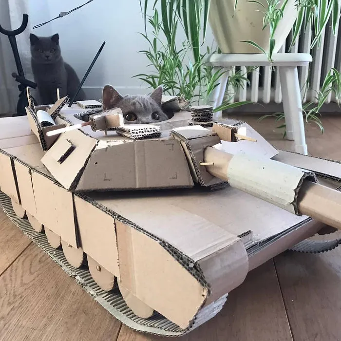 People Are So Bored During Quarantine That They’re Building Cardboard Tanks For Their Cats (30 Pics)
