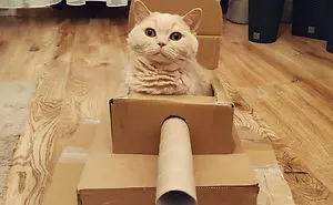 People Are So Bored During Quarantine That They’re Building Cardboard Tanks For Their Cats (30 Pics)