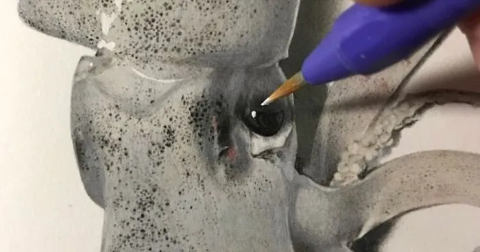 Japanese Artist Creates Incredibly Realistic Drawing Of A Squid That Looks Like A High-Resolution Photograph