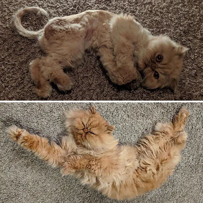 3 meses y unos kilos después