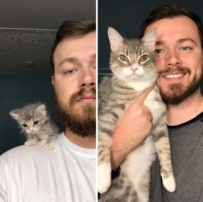 My Little Rescue Kitten Isn’t So Little Anymore