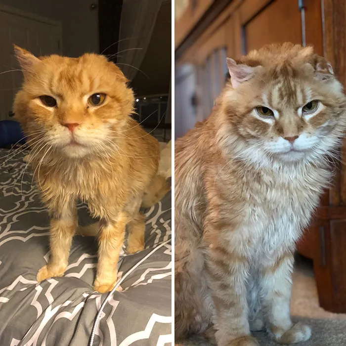 Remy B. Nobody Loved Him For 6 Years, Until We Did