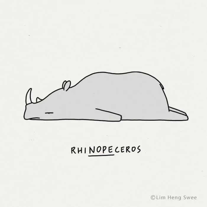 Rhinoceros