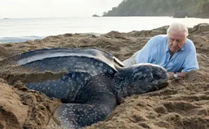 BBC Announces Its Online Geography Lessons Will Be Taught By Sir David Attenborough