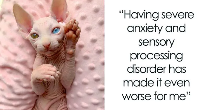 Here Are 68 Pics Of My Cats That Help Me During Tough Times