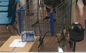35 Times People Spotted Others Acting Like Morons During This Outbreak And Shared Pics Online