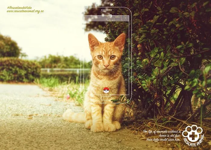 My 51 Favorite Print Ads That Use Cats In A Purrfect Way