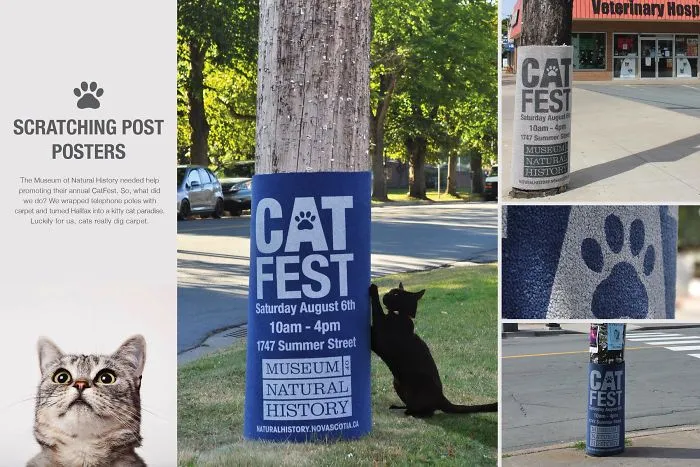 My 51 Favorite Print Ads That Use Cats In A Purrfect Way