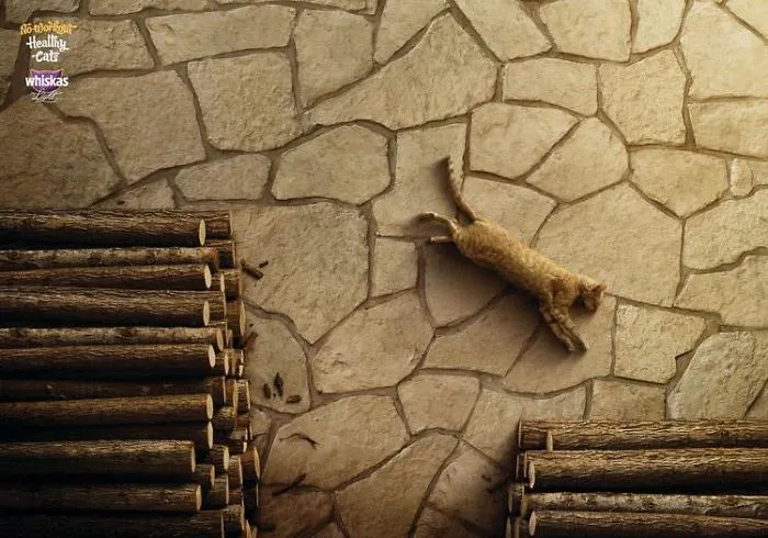 My 51 Favorite Print Ads That Use Cats In A Purrfect Way