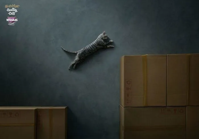My 51 Favorite Print Ads That Use Cats In A Purrfect Way