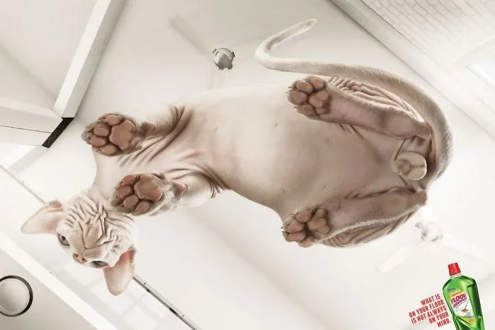 My 51 Favorite Print Ads That Use Cats In A Purrfect Way