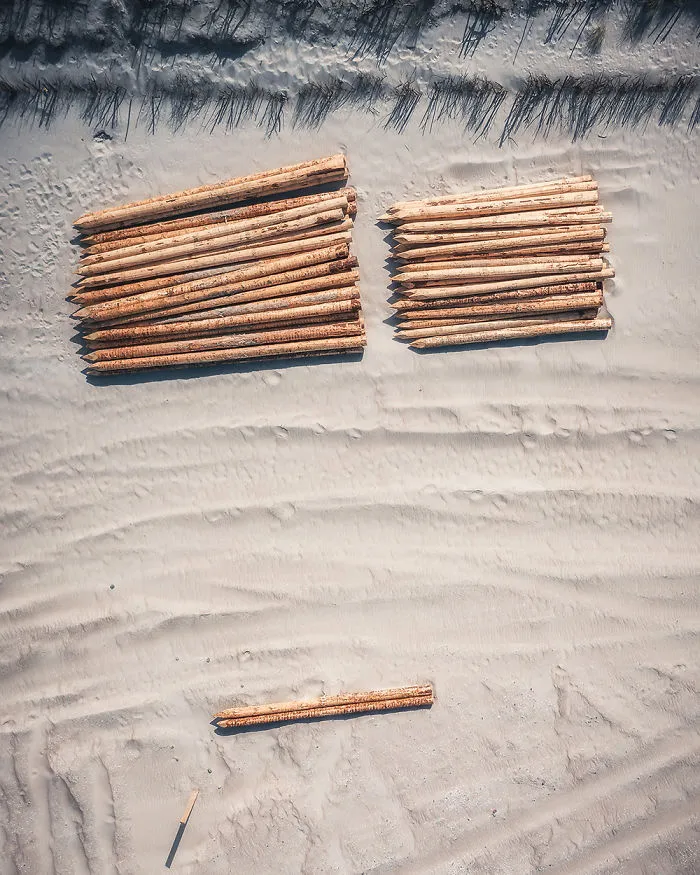 Breakwater Piles On A Beach (Poland)