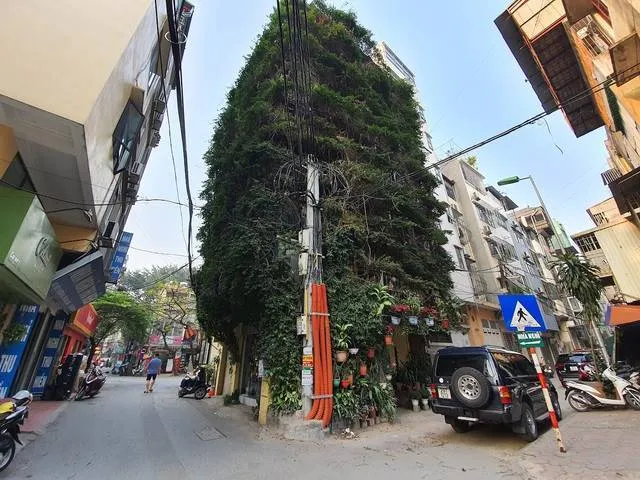 A Five-Storey House Into A Vertical Garden In Hanoi, Vietnam