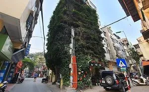 A Five-Storey House Into A Vertical Garden In Hanoi, Vietnam