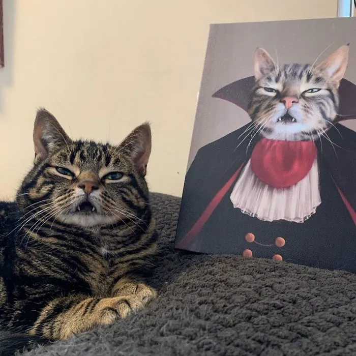 The Best Portrait
