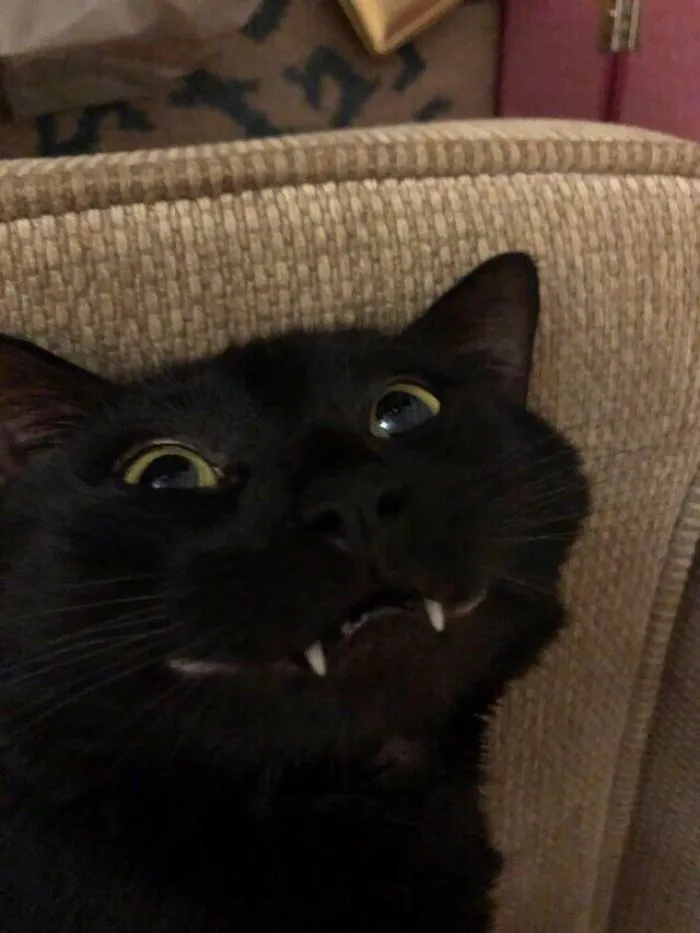 Smile For The Camera