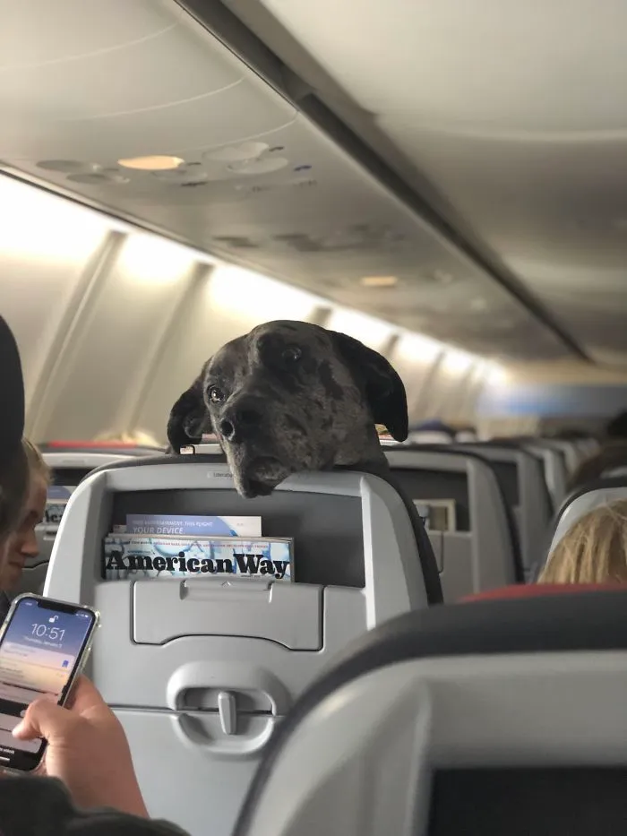 Today’s Flight Just Got Interesting