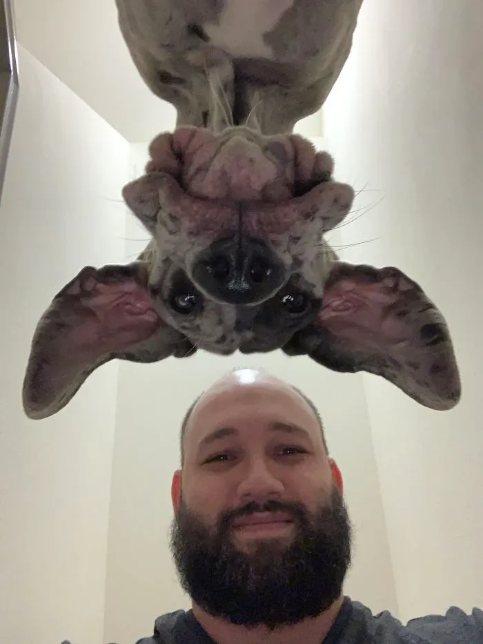 Mis Dos Amores, Esperando A Que Se Una Nuestro Bebé Humano Cualquier Día De Estos
