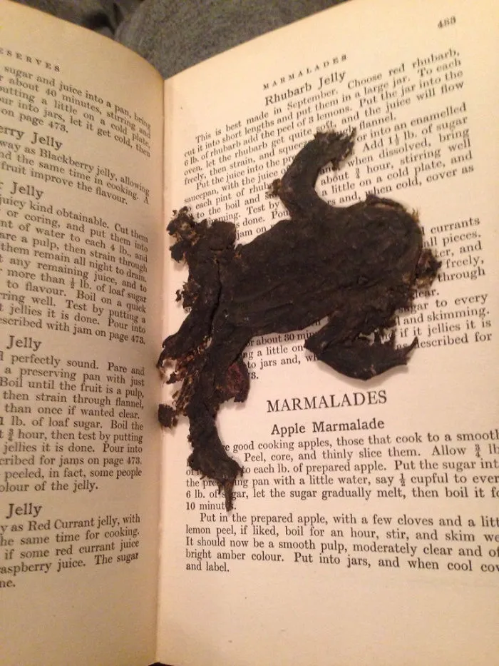 Looking Through An Old Cookery Book I Just Found And There's A Squashed Frog As A Bookmark