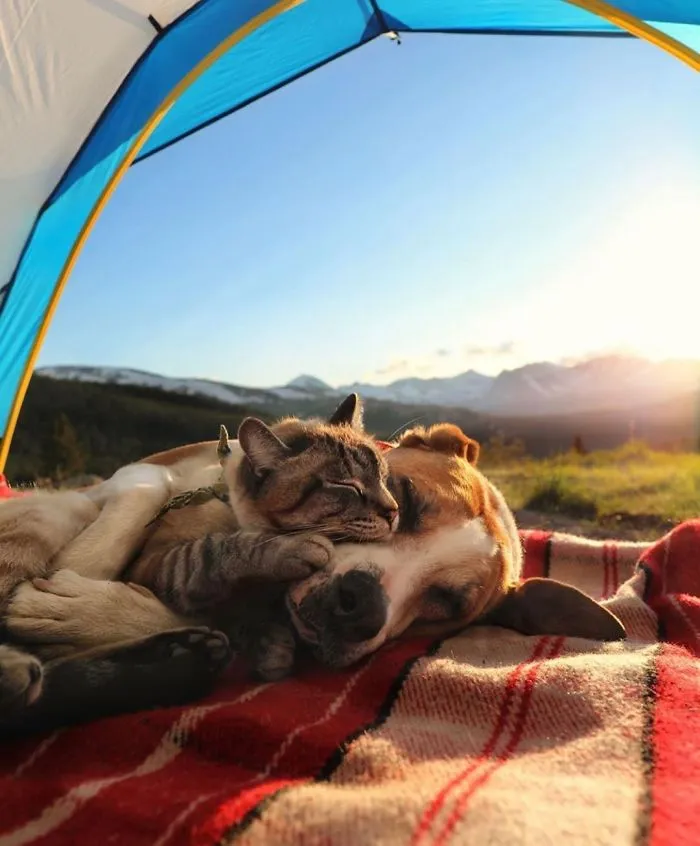Just 5 More Minutes!