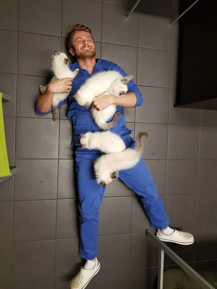 Benefits Of Being A Vet