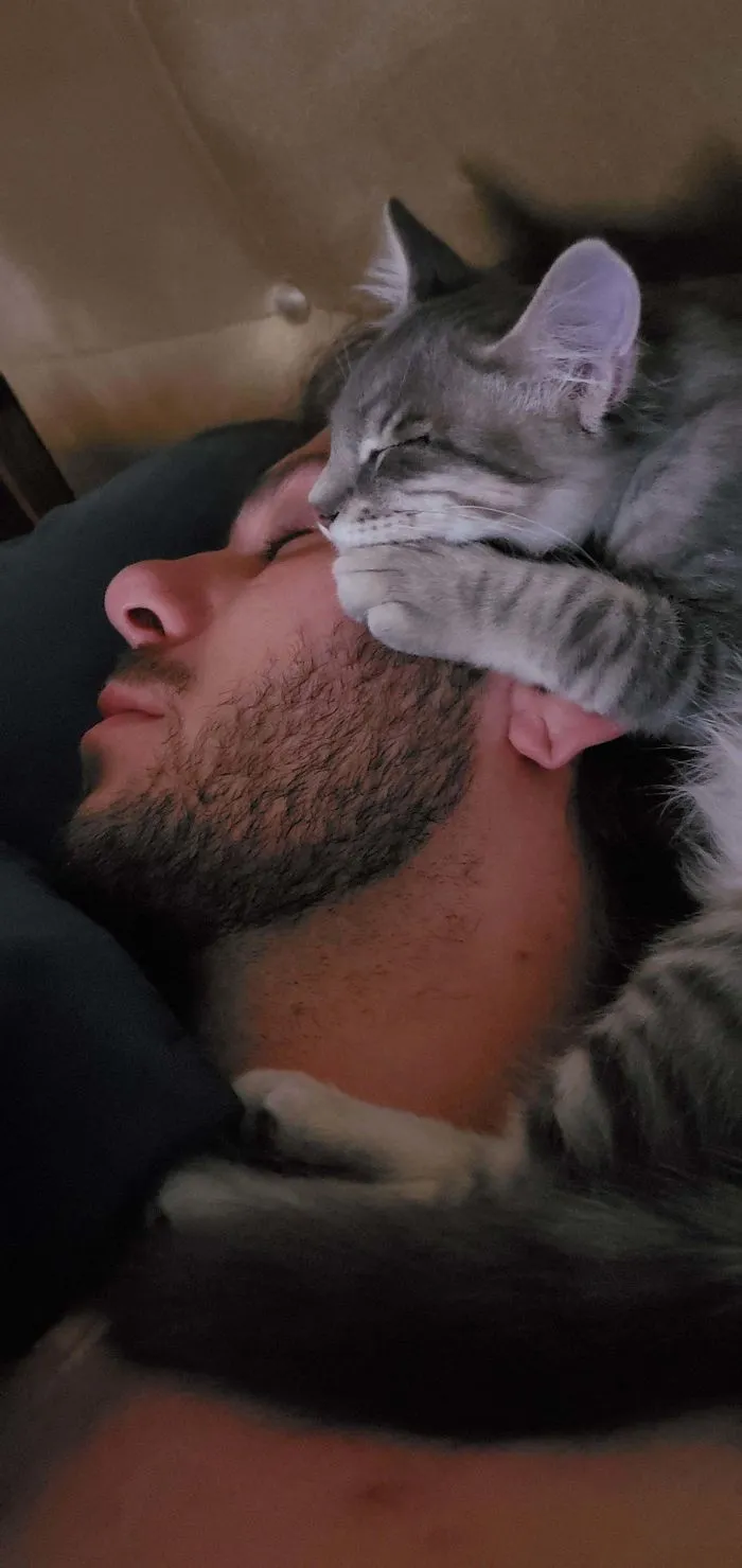 Convencí a mi novio para adoptar un gato. Esta es la 1ª noche