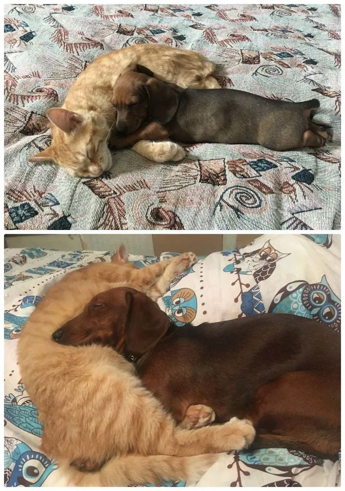 Still Love To Sleep Together