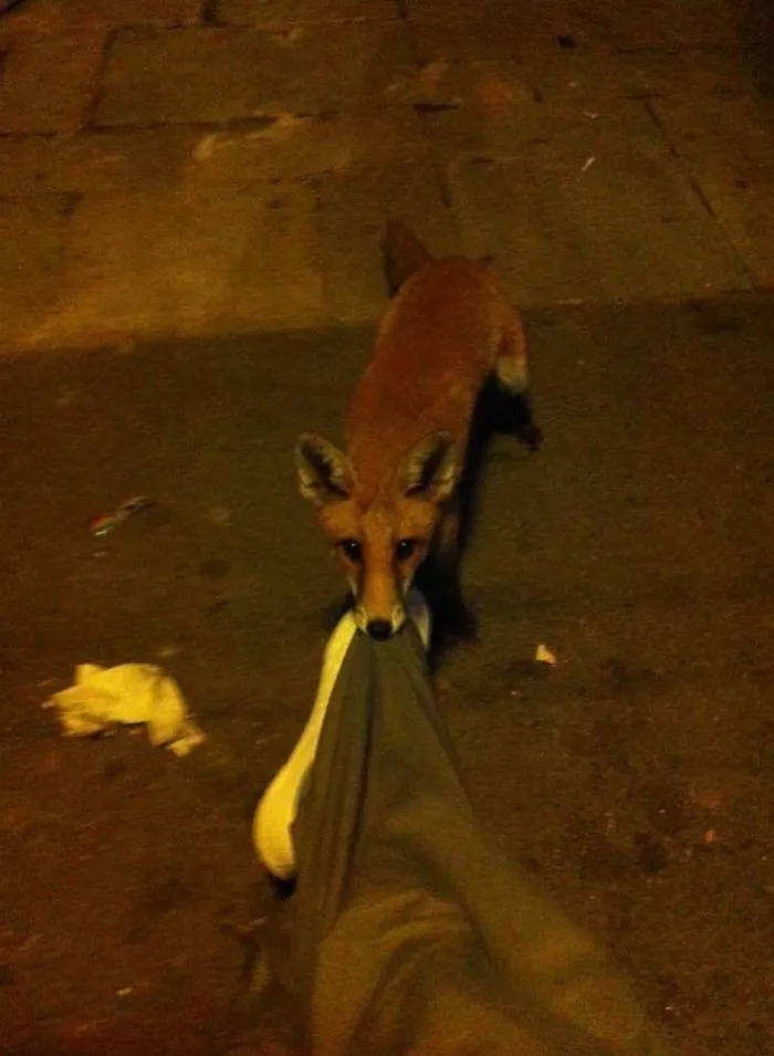 My Friend Passed Out At A Leyton Bus Stop And Woke Up To This