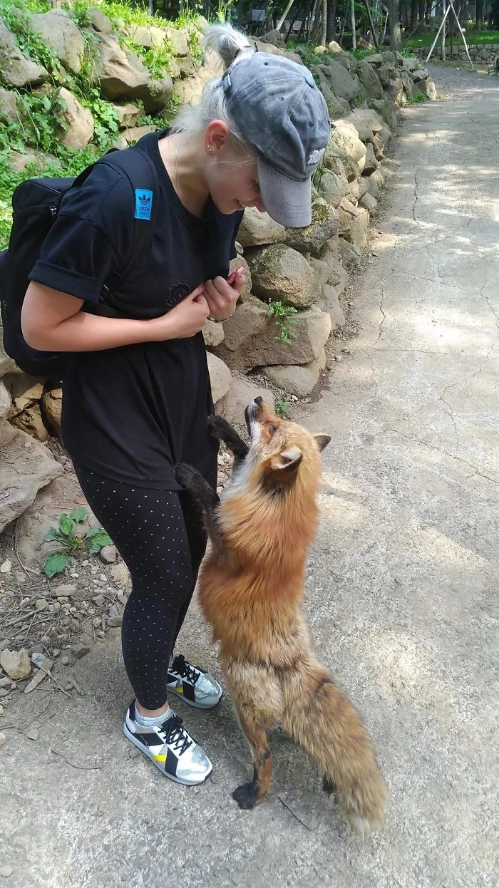 Pueblo de zorros Miyagi Zao