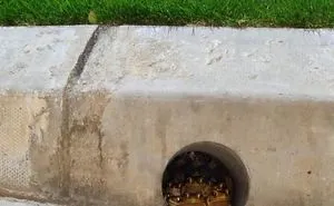 40 Times Mother Nature Proved To Be Scary As Hell (WARNING: This List Might Be Too Scary For You)