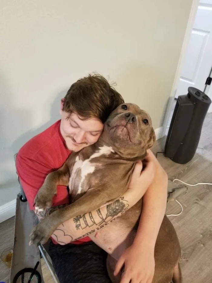 Rimosa, tiene 3 años y fue rescatada hace 11 meses