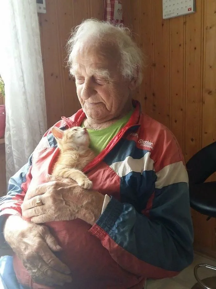 Mi padre y mi gata se adoran