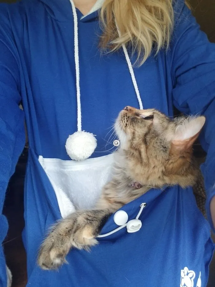 Mi gata viaja así, mirándome la cara