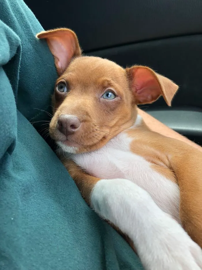 The Way My Girl Looks At Me