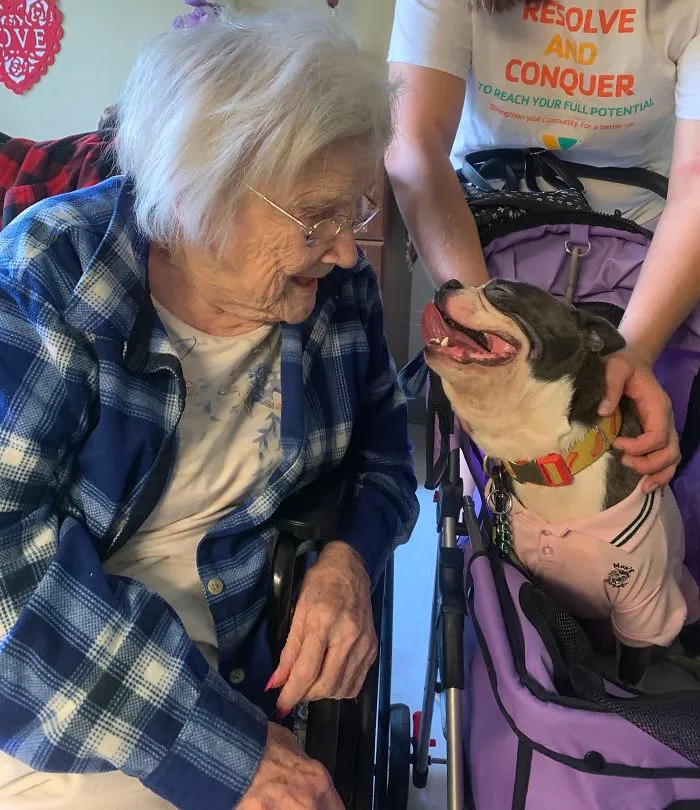 Mitus Loving Grandma. He Is So Gentle With Her But Crazy Hyper With Anyone Else