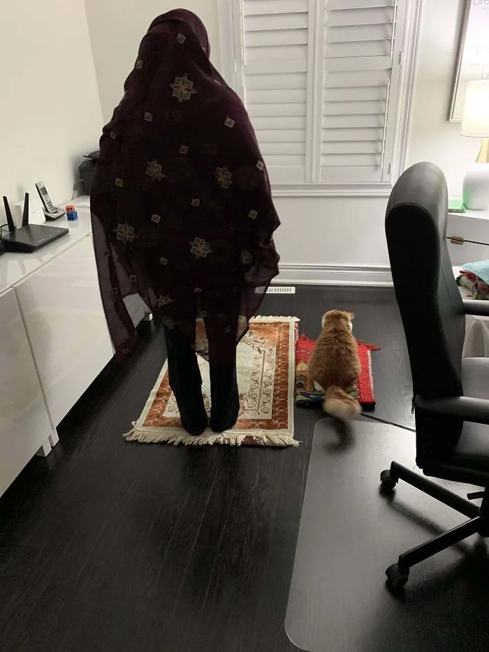 My Cat Keeping My Mom Company While She Prays