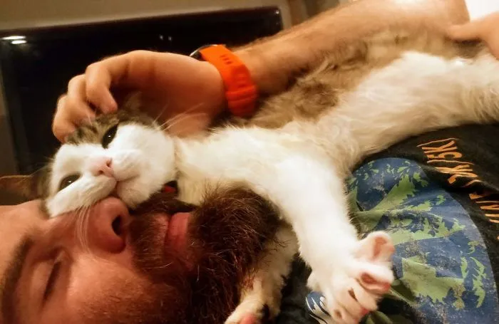 Husband Was Not Happy About Rescuing This Feral Cat