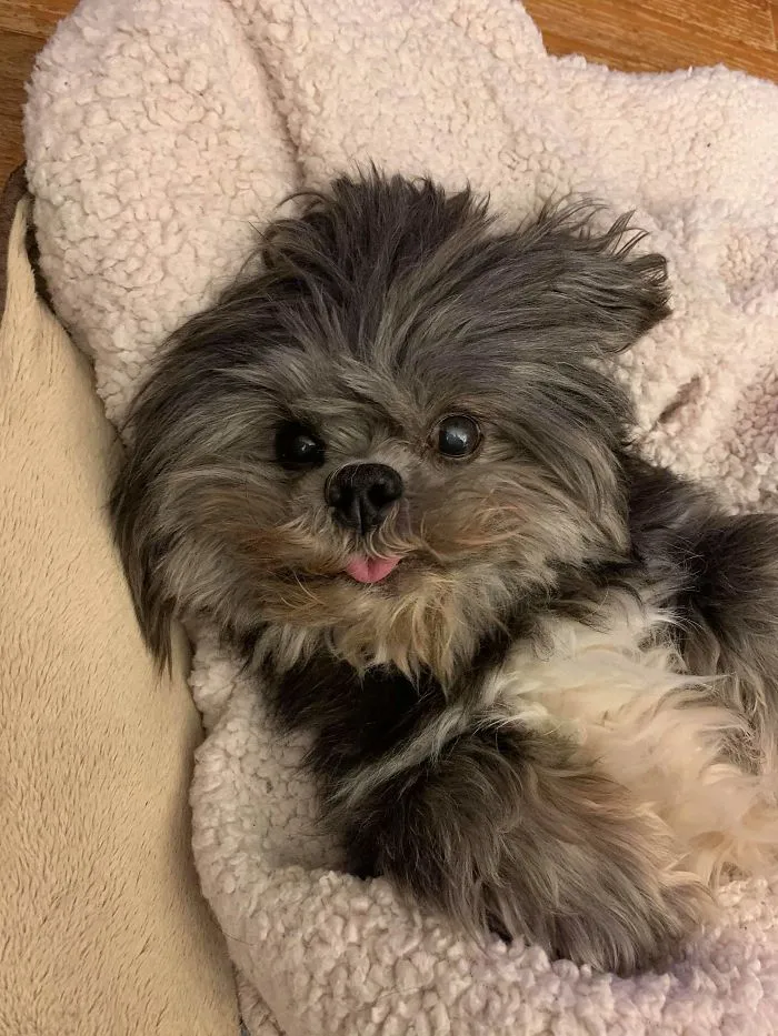 Louie tiene 16 años y pone esta cara cuando le damos sus golosinas