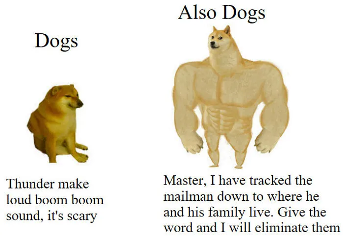 30 Of The Most Savage Yet Somewhat Accurate 'Then Vs. Now' Doge Memes