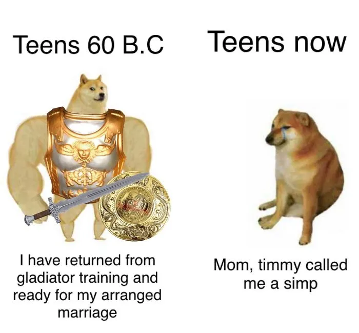 30 Of The Most Savage Yet Somewhat Accurate 'Then Vs. Now' Doge Memes