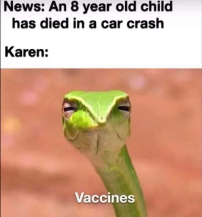 Funny-Karen-Jokes