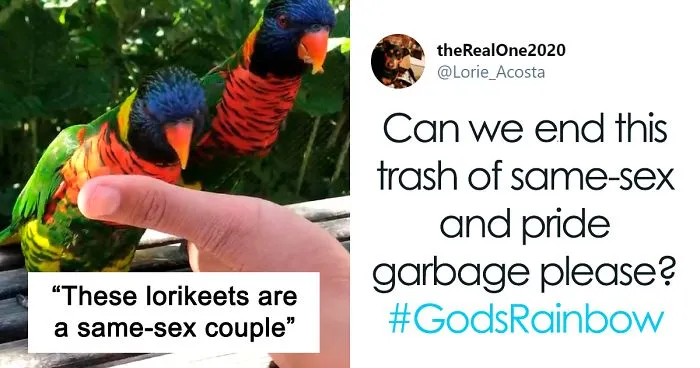 Homophobes Attack This Perfectly Innocent Same-Sex Lorikeet Couple, Get Shut Down By Denver Zoo