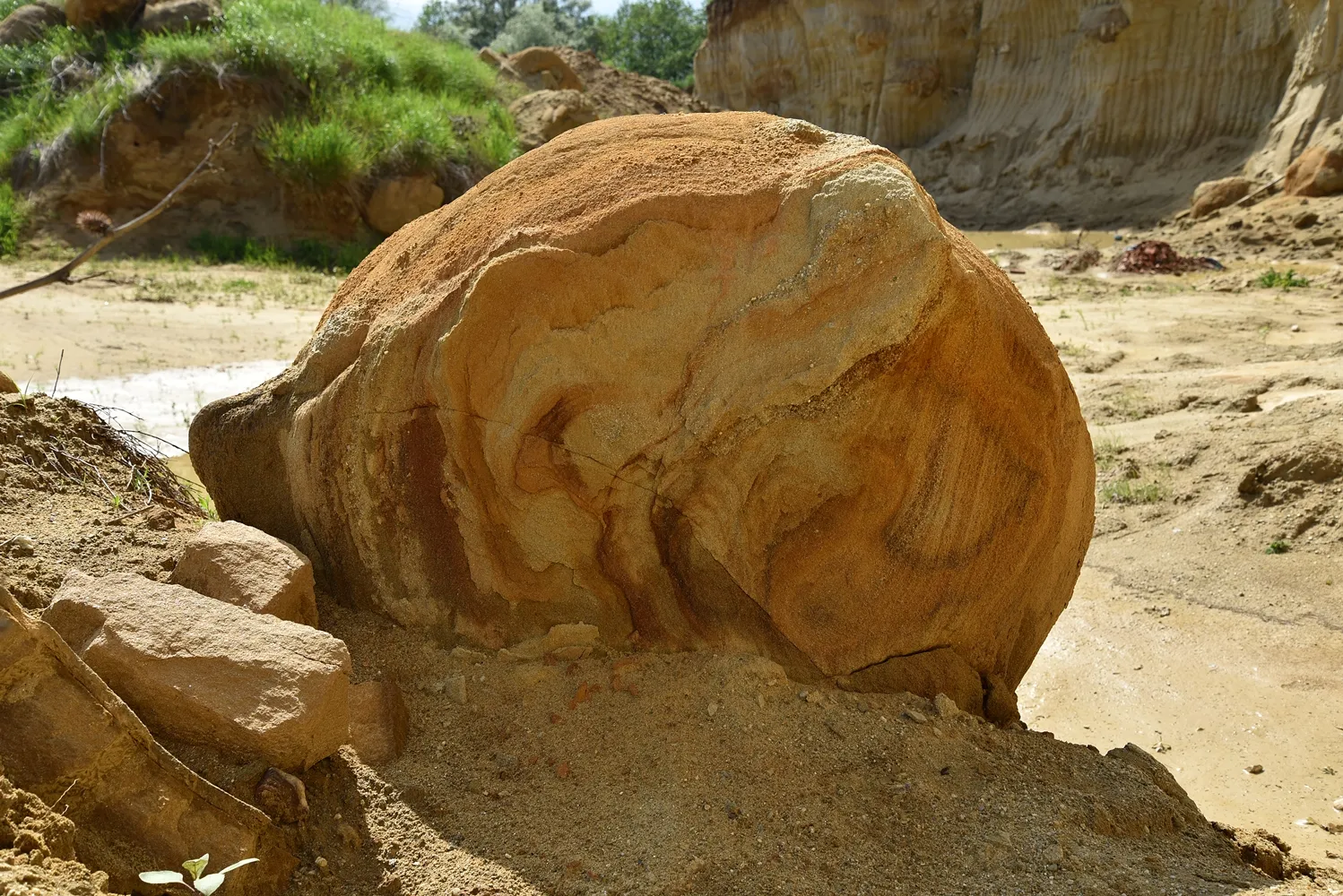 Concretion, Dinosaur Eggs Or Extraterrestrial Debris?