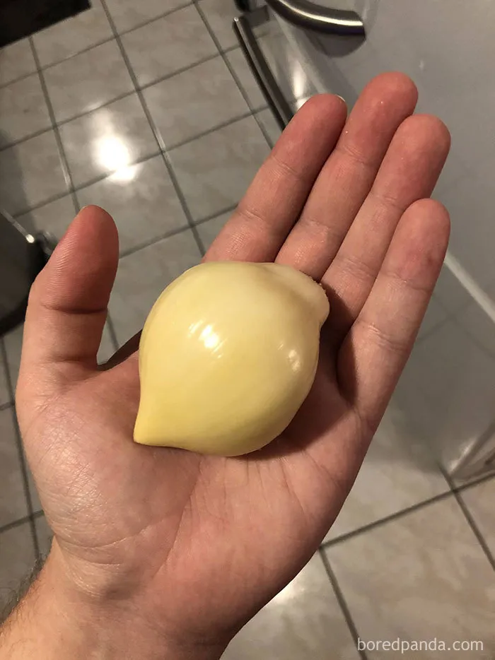 35 Times People Ordered Groceries During Quarantine And Got More Than They Bargained For