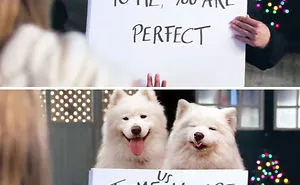 I Wanted To Spread Some Positivity So I Replaced Actors In Famous Movie Scenes With My Dogs (13 Pics)
