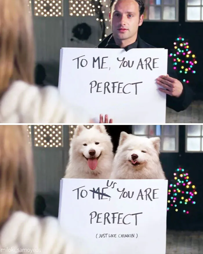 Everyone Needs A Little Reminder That They're Perfect The Way They Are